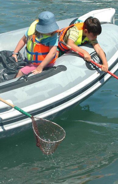 mar_limpo_creditos_camaramunicipaldanazare_vestrelinha