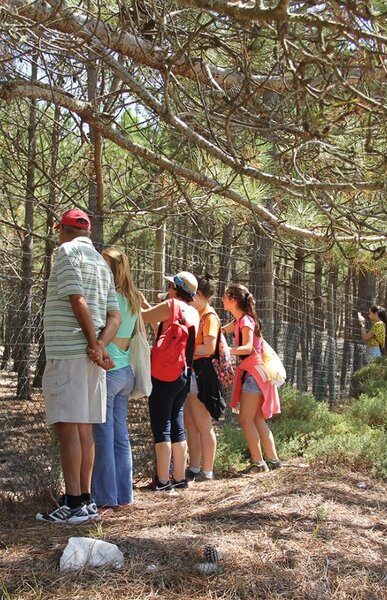 passeios_de_observacao_da_natureza