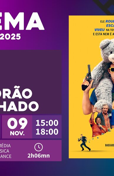 um_ladrao_no_telhado