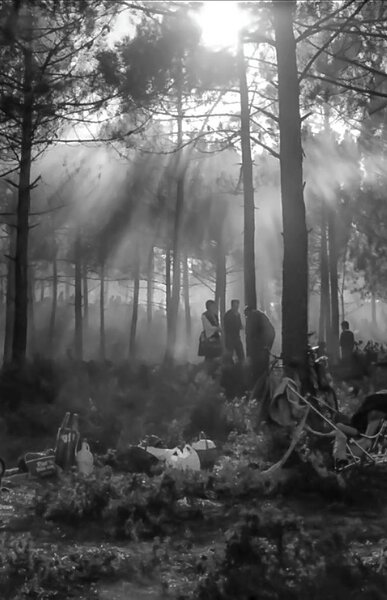 monte_de_s__bartolomeu_exposicao_na_galeria