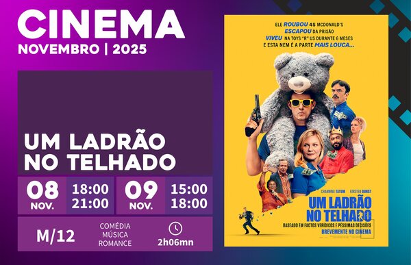 um_ladrao_no_telhado
